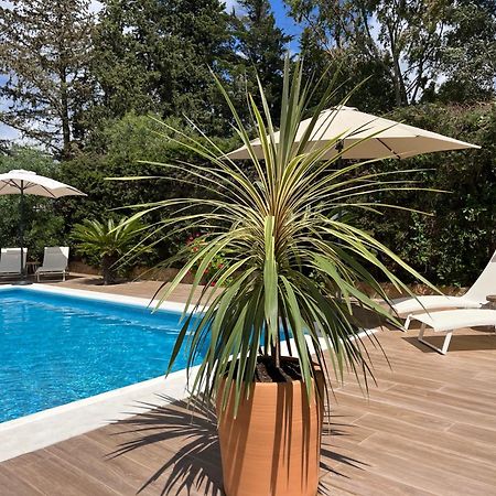 Arriba Stijlvol Appartement Met Zwembad En Tuin Conil De La Frontera Buitenkant foto