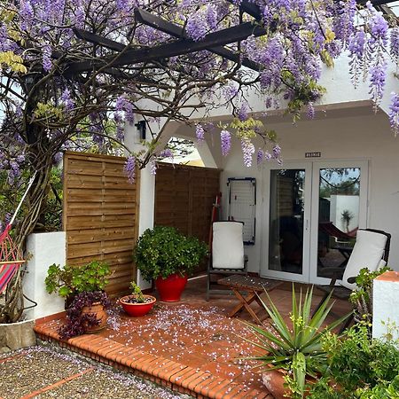 Arriba Stijlvol Appartement Met Zwembad En Tuin Conil De La Frontera Buitenkant foto