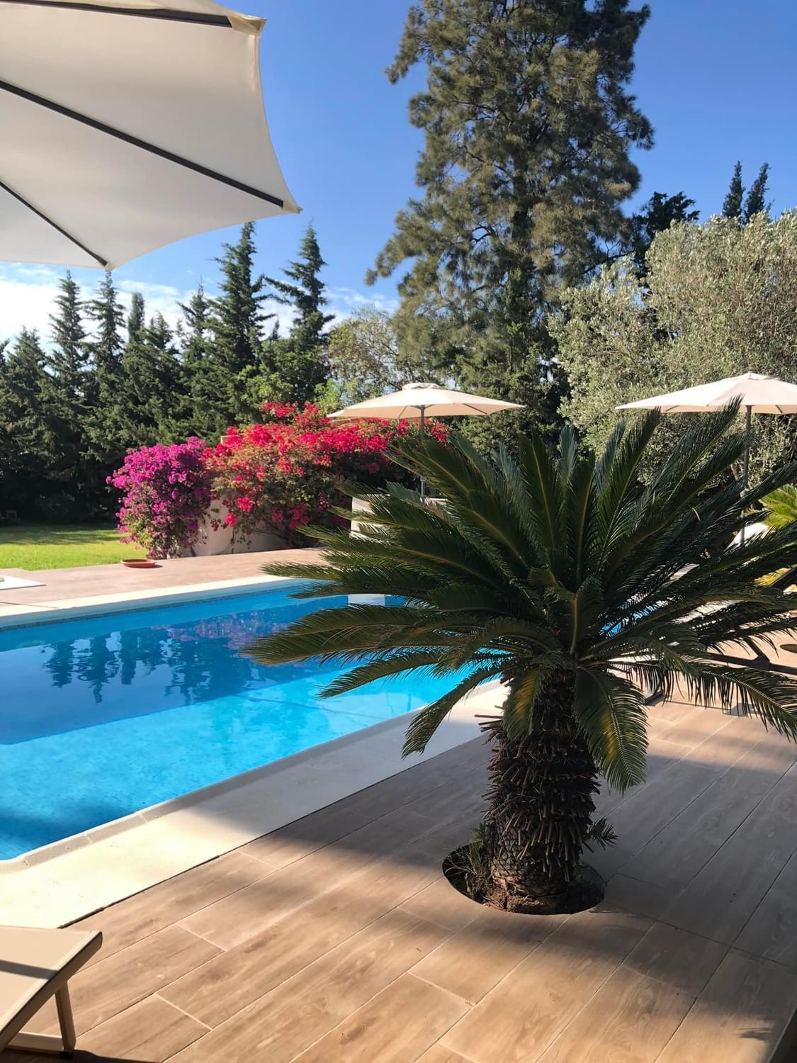 Arriba Stijlvol Appartement Met Zwembad En Tuin Conil De La Frontera Buitenkant foto
