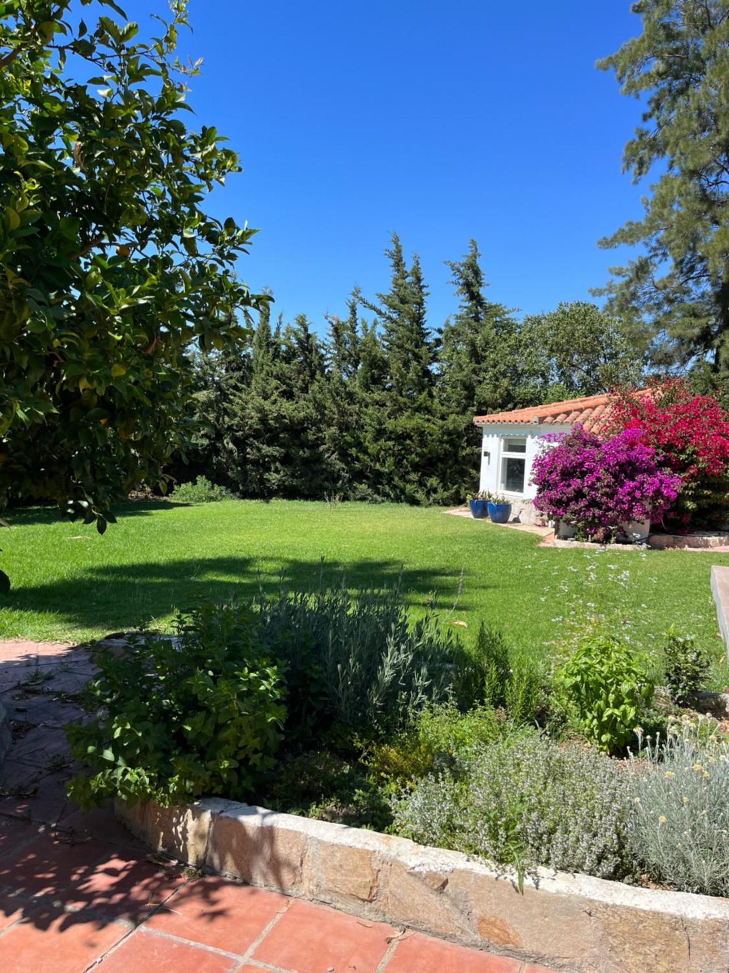 Arriba Stijlvol Appartement Met Zwembad En Tuin Conil De La Frontera Buitenkant foto